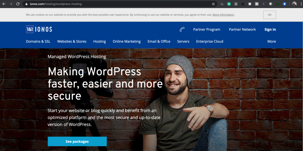 1&1 wordpress hosting
