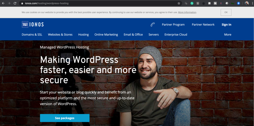 1&1 wordpress hosting