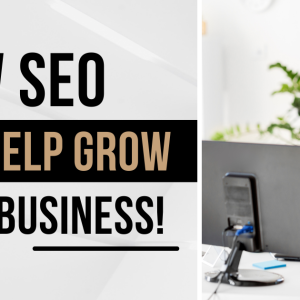 seo help grow your business