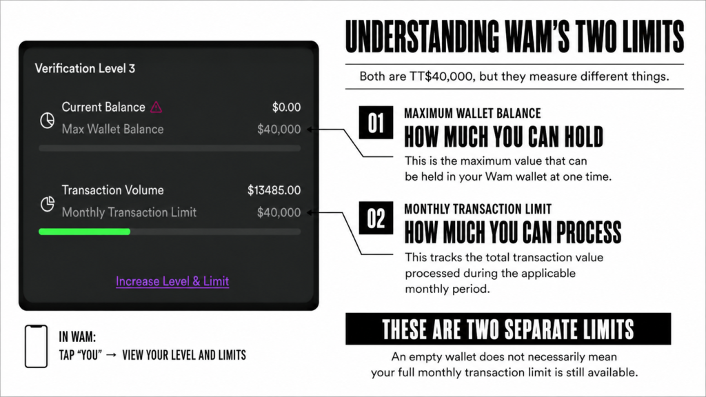understanding wam's wallet limits